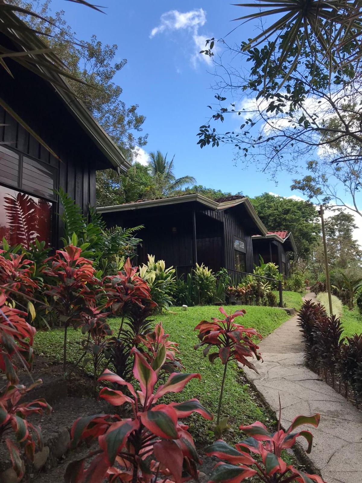 Hotel Kokoro Mineral Hot Springs La Fortuna المظهر الخارجي الصورة