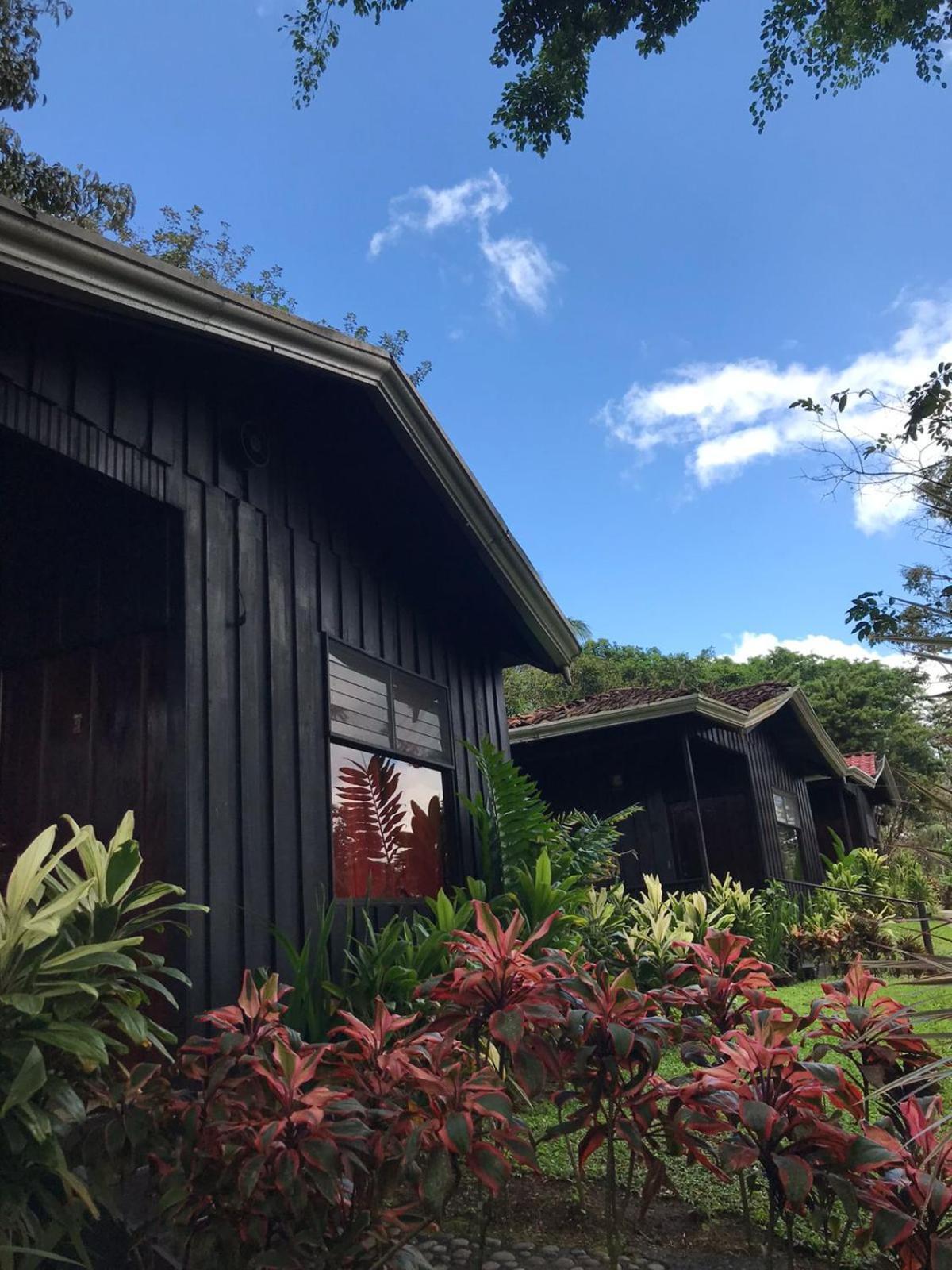 Hotel Kokoro Mineral Hot Springs La Fortuna المظهر الخارجي الصورة