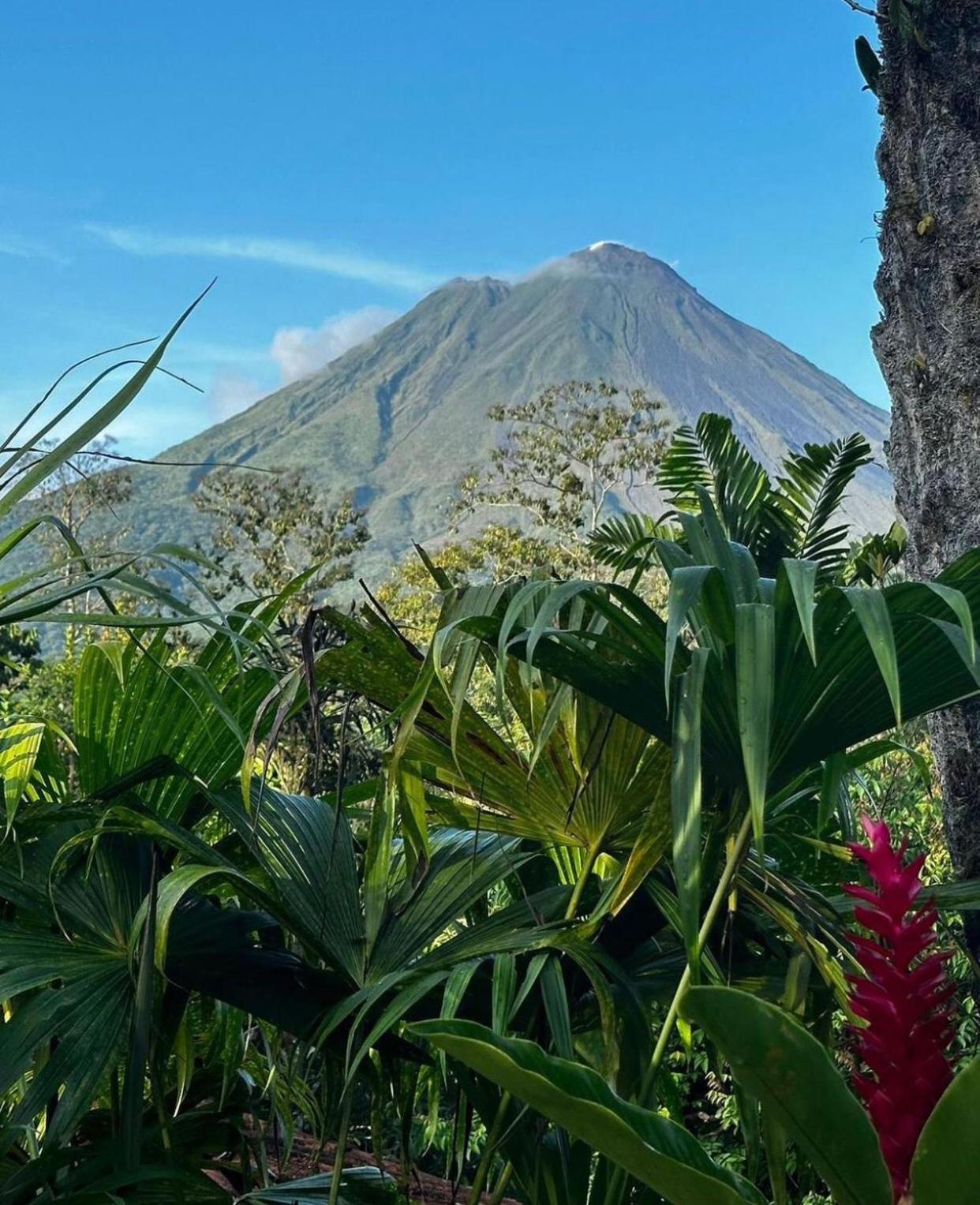 Hotel Kokoro Mineral Hot Springs La Fortuna المظهر الخارجي الصورة
