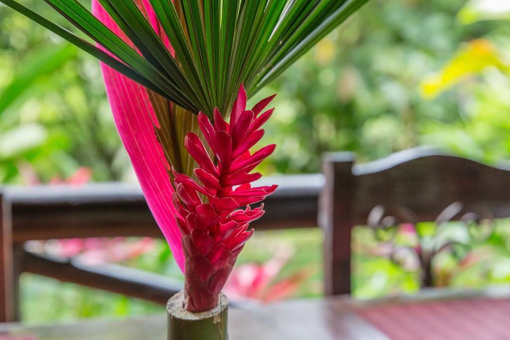Hotel Kokoro Mineral Hot Springs La Fortuna المظهر الخارجي الصورة